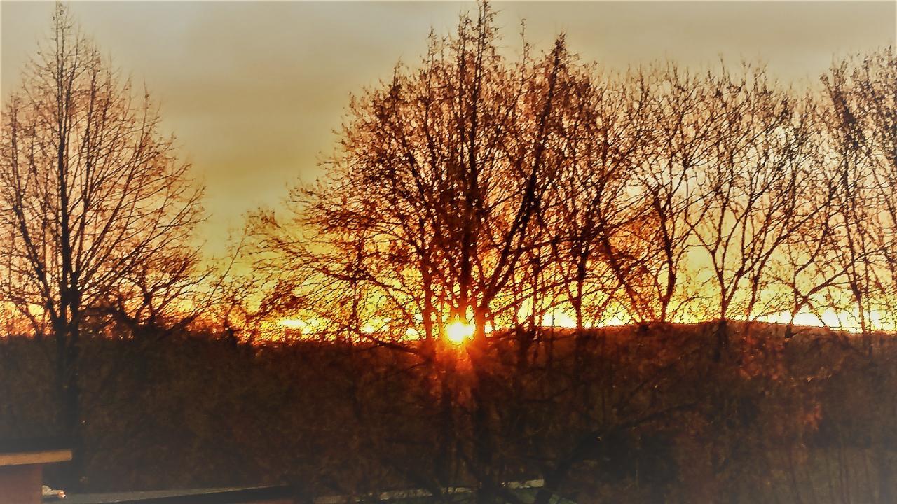Domaine des Marequiers chambre Silène Saint-Germain-du-Teil Esterno foto