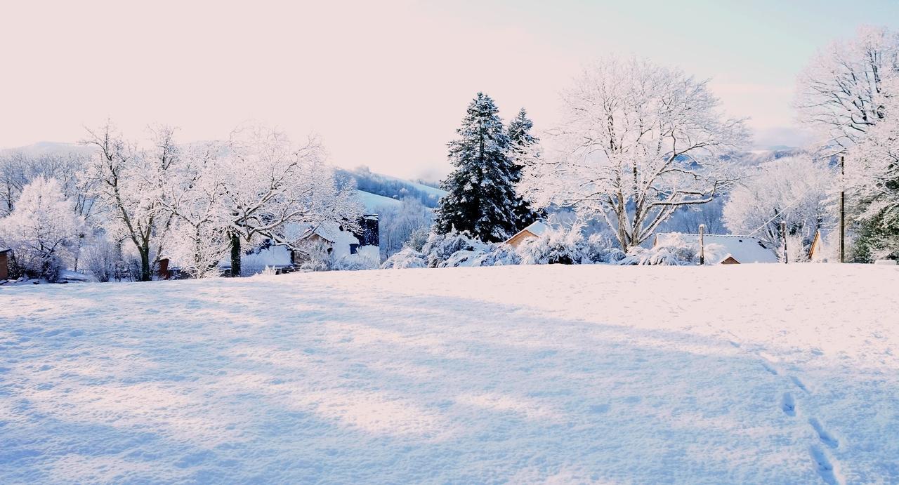 Domaine des Marequiers chambre Silène Saint-Germain-du-Teil Esterno foto