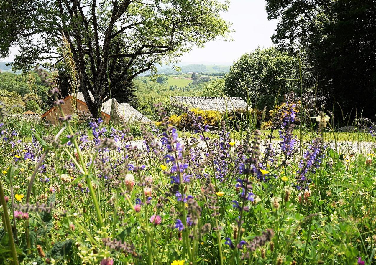 Domaine des Marequiers chambre Silène Saint-Germain-du-Teil Esterno foto